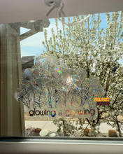 Load image into Gallery viewer, Glowing &amp; Growing Suncatcher
