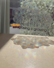 Load and play video in Gallery viewer, Glowing &amp; Growing Suncatcher
